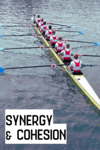 a picture of a rowing team on the water with the text synergy and cohesion labeling it in the bottom left corner